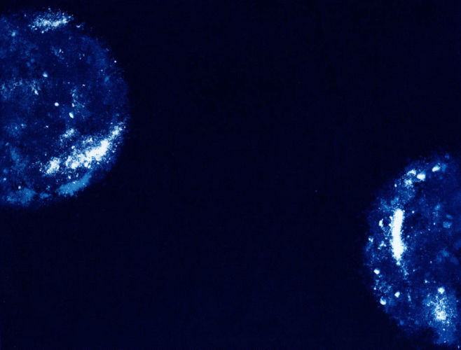 02_JOHNSTONE_Stardust_and_Ashes_09web