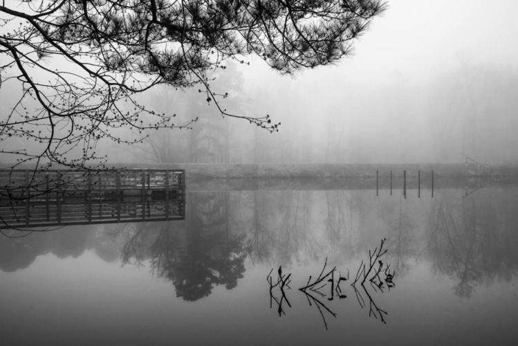 Foggy_Durant-036-Editweb