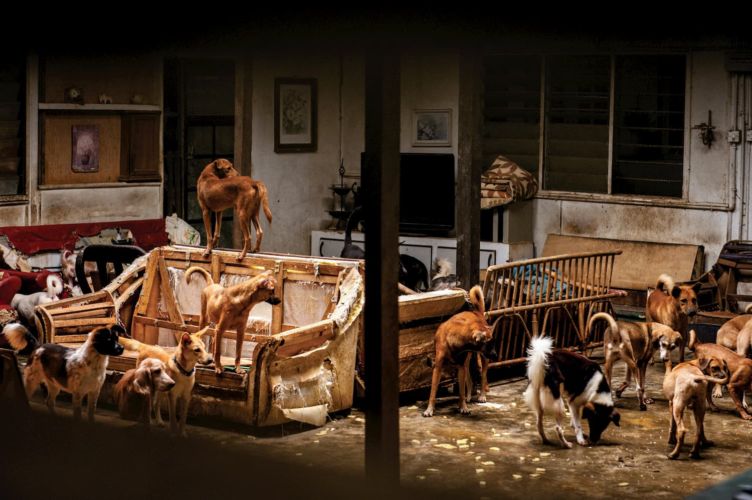 mcguire_hounds_003 (1)