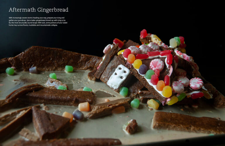 10_Recipes_for_Disaster_Gingerbread
