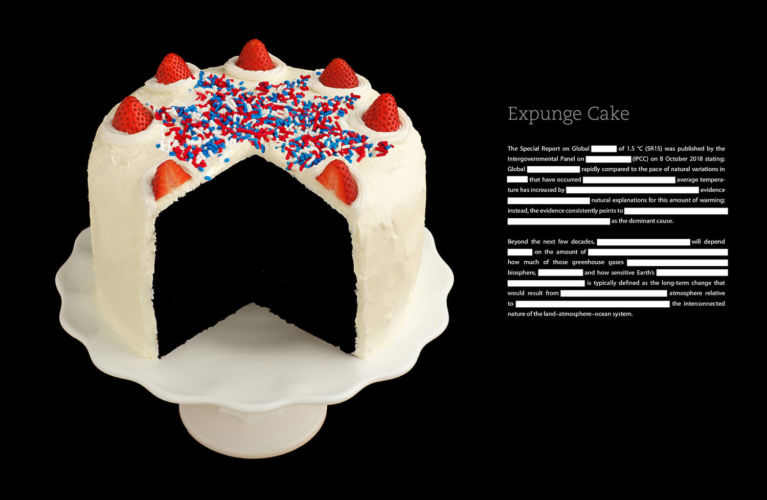 3_Recipes_for_Disaster_Expunge_Cake_2