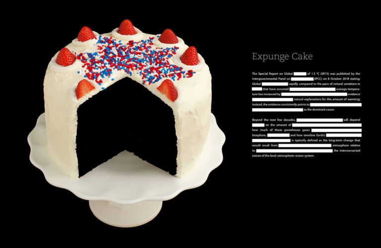 3_Recipes_for_Disaster_Expunge_Cake_2