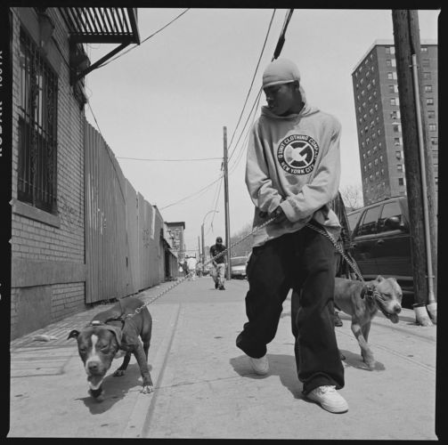 RULX_THORK_002