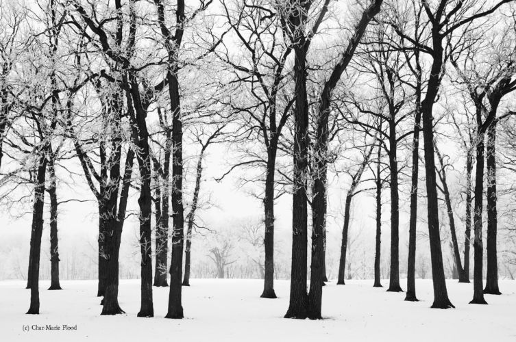 The_Land_of_Frost-Char-Marie_Flood